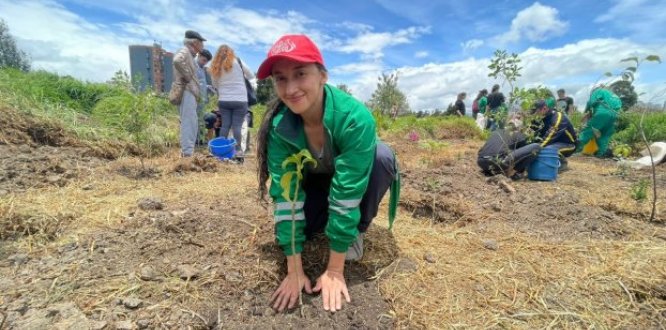Una de las plantaciones se realizó en el humedal El Burro, con el apoyo y participación de la comunidad. 