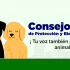 Puente Aranda abre inscripciones para conformar el Consejo Local de Protección y Bienestar Animal