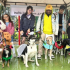 Un grupo de personas posa junto a sus perros disfrazados durante el Desfile interespecie realizado en el parque El Sol, en Puente Aranda, como parte de la Semana de Protección y Bienestar Animal.